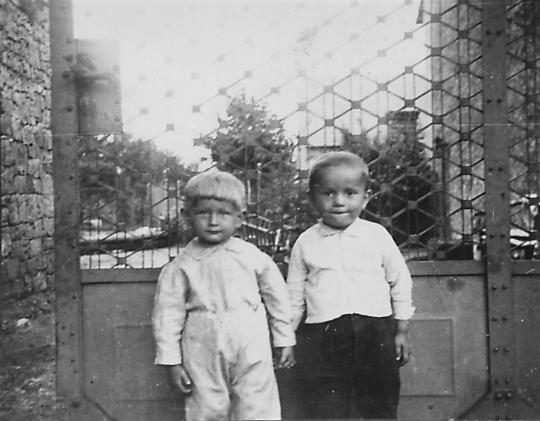 Foto